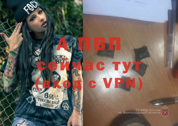 эйфоретик Майский