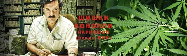 эйфоретик Майский
