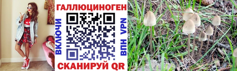 Псилоцибиновые грибы Psilocybe  Купить  Навашино 